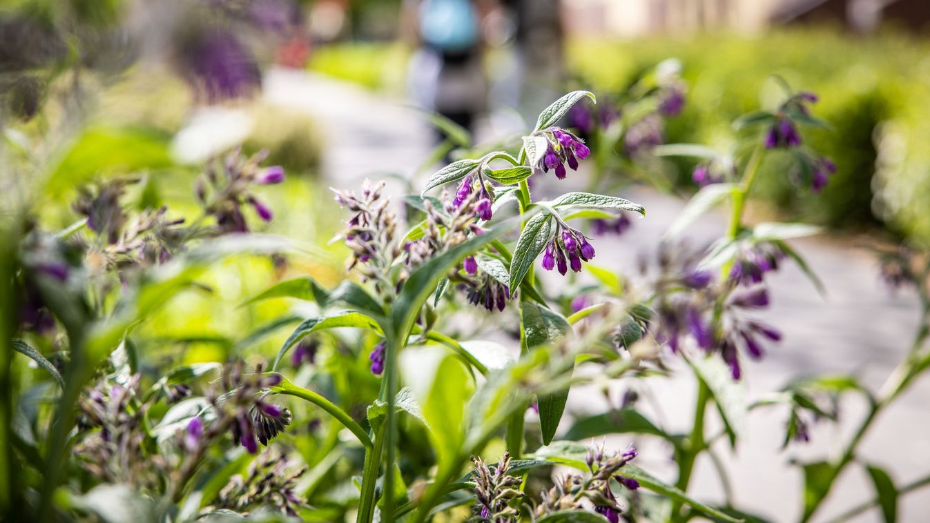 Nem ilyen május 1-re számítottunk: ilyen idő jön a hosszú hétvégén